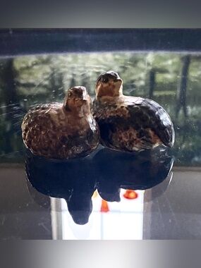 Set of 2 VTG Ceramic Quail Miniature Small Figurines Japan Mid Century Pottery